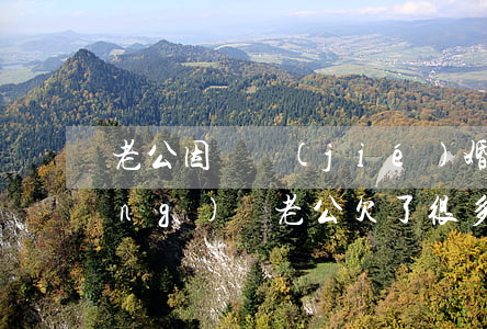 老公因為結(jié)婚欠了好多網(wǎng)貸(老公欠了很多網(wǎng)貸)