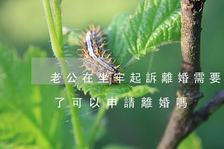 老公在坐牢起訴離婚需要請律師嗎(老公坐牢了可以申請離婚嗎)