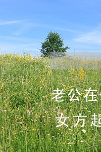 老公在外地坐牢可以離婚嗎需要男方同意嗎(女方起訴離婚男方在外地坐牢怎么辦)