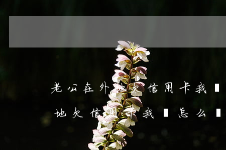 老公在外地欠信用卡我該怎么辦-老公在外地欠信用卡我該怎么辦呢