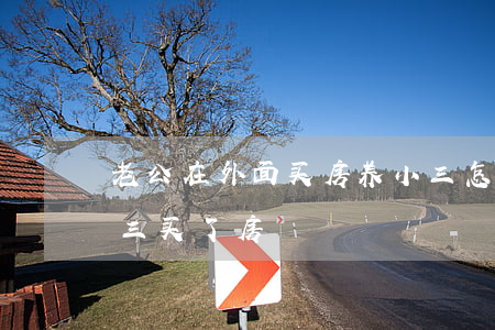 老公在外面买房养小三怎么办(老公在外给小三买了房)