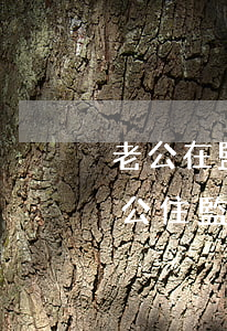 老公在監(jiān)獄里如何辦理離婚(老公住監(jiān)獄怎么能離婚)