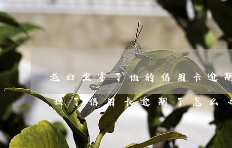 老公坐牢了他的信用卡逾期了怎么办（老公去世了信用卡逾期了怎么办）