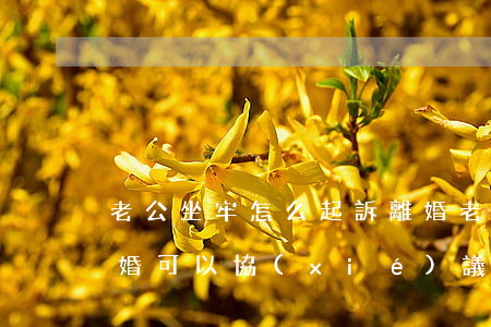 老公坐牢怎么起訴離婚(老公坐牢了怎么辦離婚,可以協(xié)議離婚嗎)