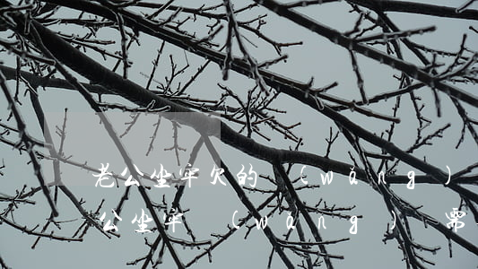 老公坐牢欠的網(wǎng)貸還用還嗎(老公坐牢網(wǎng)貸需要還嗎)