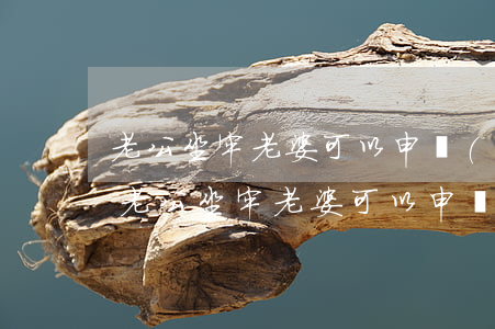 老公坐牢 老婆可以申請(qǐng)離婚嗎(老公坐牢 老婆可以申請(qǐng)離婚嗎)