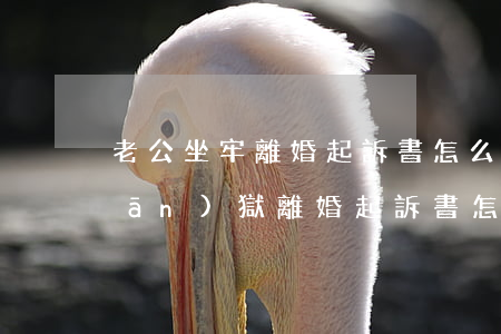 老公坐牢離婚起訴書怎么寫(老公在監(jiān)獄離婚起訴書怎么寫)
