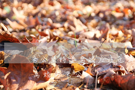 老公坚持要离婚应该怎么做(如何挽回坚持要离婚的老公)