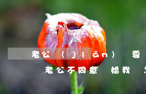 老公堅(jiān)決要離婚我不同意怎么辦(老公不同意離婚我該怎么辦他還有暴力傾向)