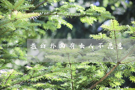 老公外面有女人不愿意離婚怎么辦