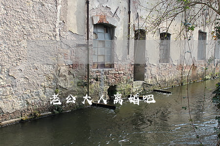 老公大人离婚吧