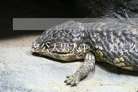 老公大男人主義離婚怎么辦