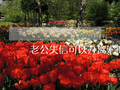 老公失信可以办离婚吗(失信人员能离婚吗)
