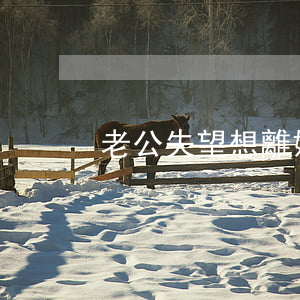 老公失望想離婚怎么辦