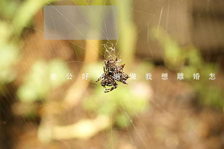 老公好吃懶做我想離婚怎么辦