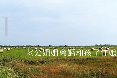 老公姐姐离婚和孩子住娘家怎么办