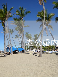 老公婚內(nèi)欠的信用卡