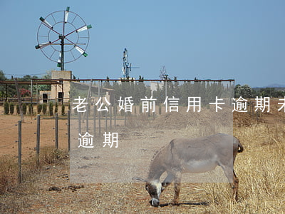 老公婚前信用卡逾期未還 離婚后前夫信用卡逾期