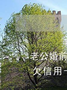 老公婚前欠信用卡20萬未告知-老公婚前欠信用卡20萬未告知怎么辦