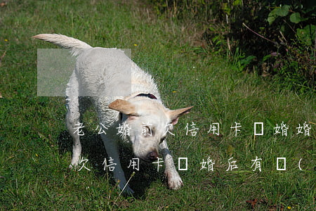老公婚前欠信用卡離婚(婚前對(duì)方欠信用卡離婚后有關(guān)系嗎)