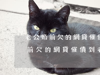 老公婚前欠的網貸催債到老婆單位-老公婚前欠的網貸催債到老婆單位怎么辦