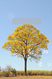 老公婚前欠網(wǎng)貸 那些人騷擾我-老公婚前欠網(wǎng)貸 那些人騷擾我怎么辦