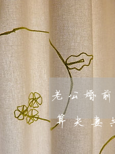 老公婚前的貸款還不起(老公婚前的貸款算不算夫妻共同的債務(wù))
