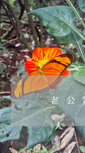 老公婚前財產(chǎn)怎么繼承(婚前個人財產(chǎn)如何繼承)