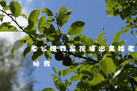 老公嫌我监视提出离婚(老公经常拿离婚来威胁我)