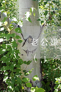 老公嫌我監(jiān)視提出離婚(老公經(jīng)常拿離婚來威脅我)