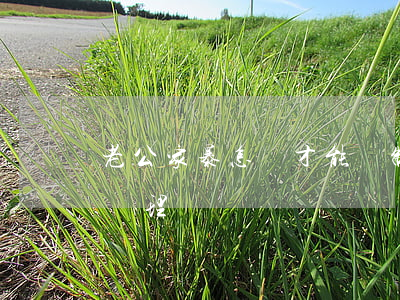 老公家暴怎樣才能強制離婚(離婚后家暴怎么處理)