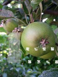 老公家暴沒有證據(jù)能起訴離婚嗎(家暴怎么起訴離婚?需要什么證據(jù))
