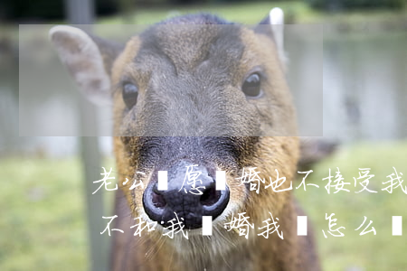 老公寧愿離婚也不接受我的出軌(老公出軌又不和我離婚我該怎么辦?)