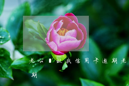 老公導致我信用卡逾期（老公導致我信用卡逾期）