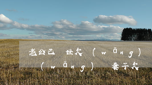 老公已過世欠網(wǎng)貸妻子要還嗎(網(wǎng)貸妻子欠錢丈夫需要償還嗎)