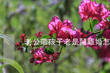 老公帶孩子老是鬧離婚怎么辦