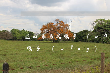 老公弟弟欠很多網(wǎng)貸(老公欠了很多網(wǎng)貸)