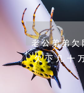 老公弟弟欠网贷40万要不要帮还(媳妇网贷欠下几十万,丈夫要还吗)