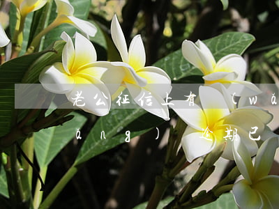 老公征信上有網(wǎng)貸逾期(網(wǎng)貸逾期已經(jīng)上征信了怎么辦)