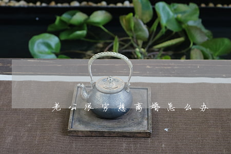 老公很穷想离婚怎么办