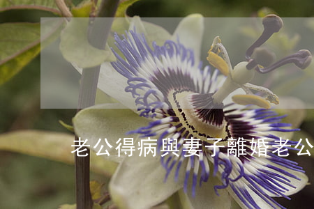 老公得病與妻子離婚(老公得病了我能離婚嗎)