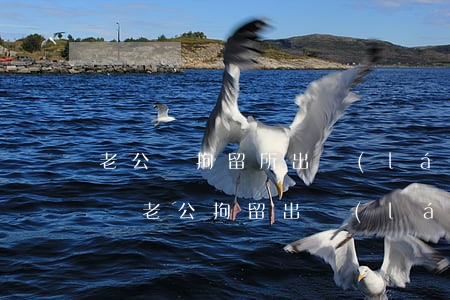老公從拘留所出來(lái)聰明老婆怎么辦(老公拘留出來(lái),老婆應(yīng)該怎么做)