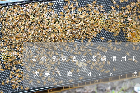 老公惡意透支老婆信用卡(妻子透支信用卡丈夫要承擔(dān)法律責(zé)任嗎)