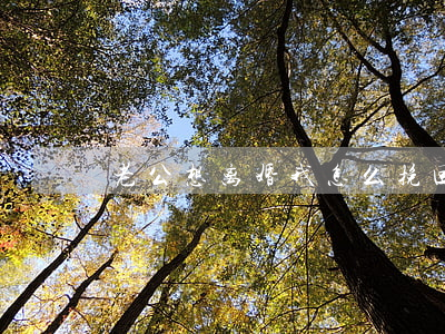 老公想离婚我怎么挽回