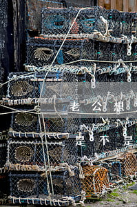 老公想貸款老婆有逾期(我老公貸款逾期了我是不是也跟他一樣了)