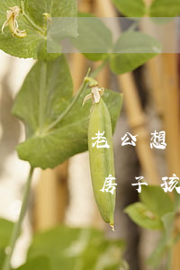 老公想離婚我就要孩子對不對(要離婚,老公要房子,孩子給我,我怎么辦)