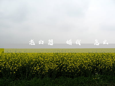 老公想離婚我該怎么辦