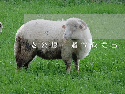 老公想離婚等我提出來(lái)我該怎么辦