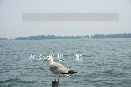 老公我想離婚