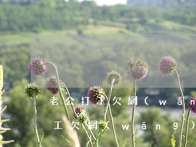 老公打工欠網(wǎng)貸怎么辦(老公打工欠網(wǎng)貸怎么辦)